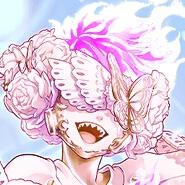 ortho shroud pink fairy gear